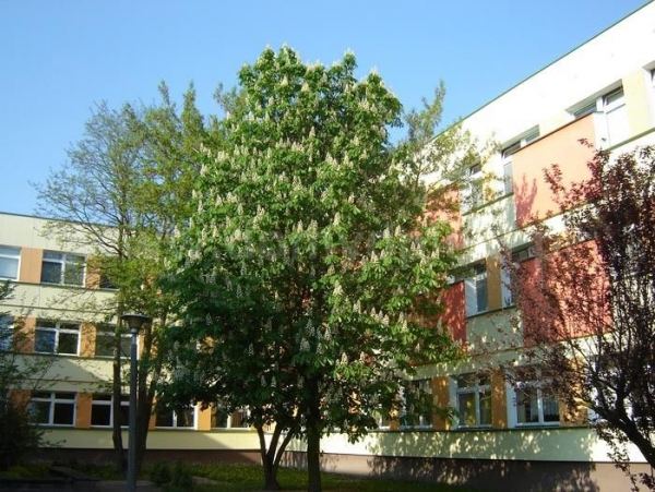 Dom Pomocy Społecznej PROMIEŃ ŻYCIA