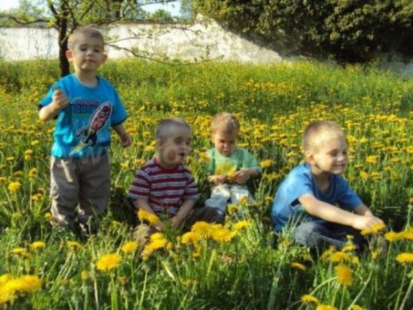 Dom Pomocy Społecznej dla Dzieci  prowadzony przez Zgromadzenie Sióstr Szkolnych De Notre Dame