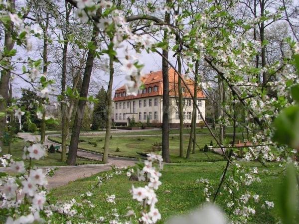Dom Pomocy Społecznej Zgromadzenia Sióstr Franciszkanek Rodziny Maryi
