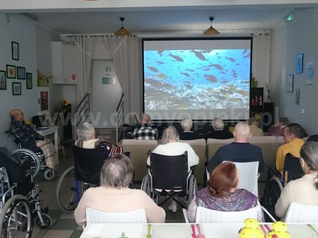 What You Need To Have Requested Your Teachers About Koka Hash Mefedron