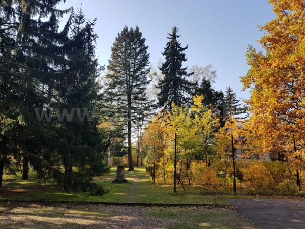 Dom Opieki PRZYSTAŃ