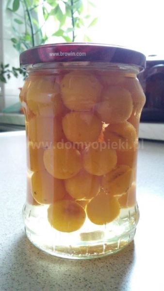 Rodzinny Dom Opieki PAW