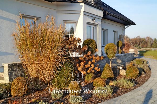 Dom Opieki Lawendowe Wzgórze