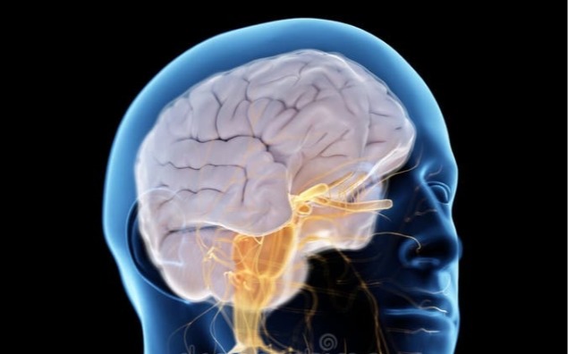 Neurologia – nauka o mózgu i układzie nerwowym