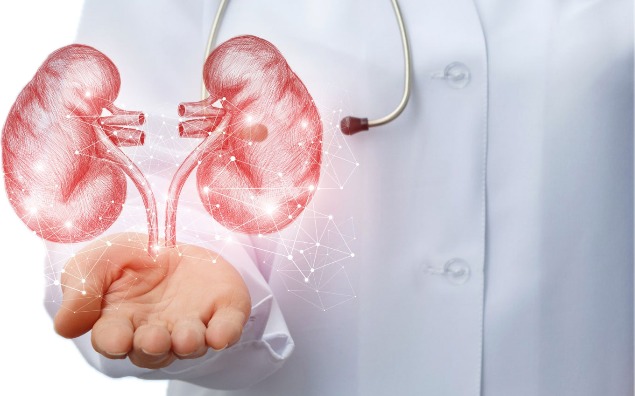 Urologia – kompleksowa dziedzina medycyny zajmująca się układem moczowo-płciowym