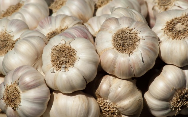 Naturalne sposoby na podniesienie odporności zimą – co działa naprawdę?