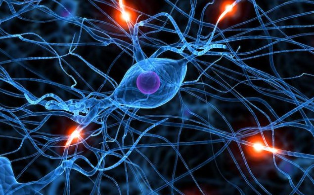 Samotność i wykluczenie osób starszych z padaczką – jak temu przeciwdziałać?